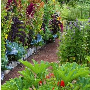 Meet your Posher, Roni